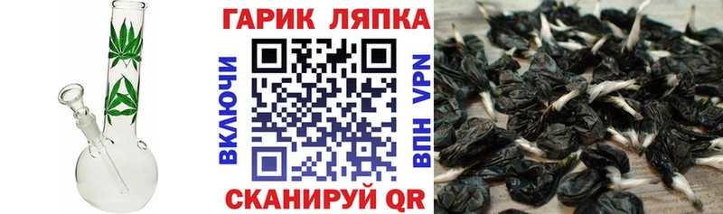 ГАШ хэш  Чердынь 