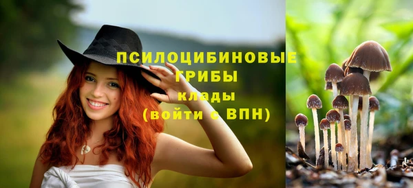 скорость Алексин