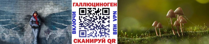 Галлюциногенные грибы мицелий маркетплейс состав Чердынь
